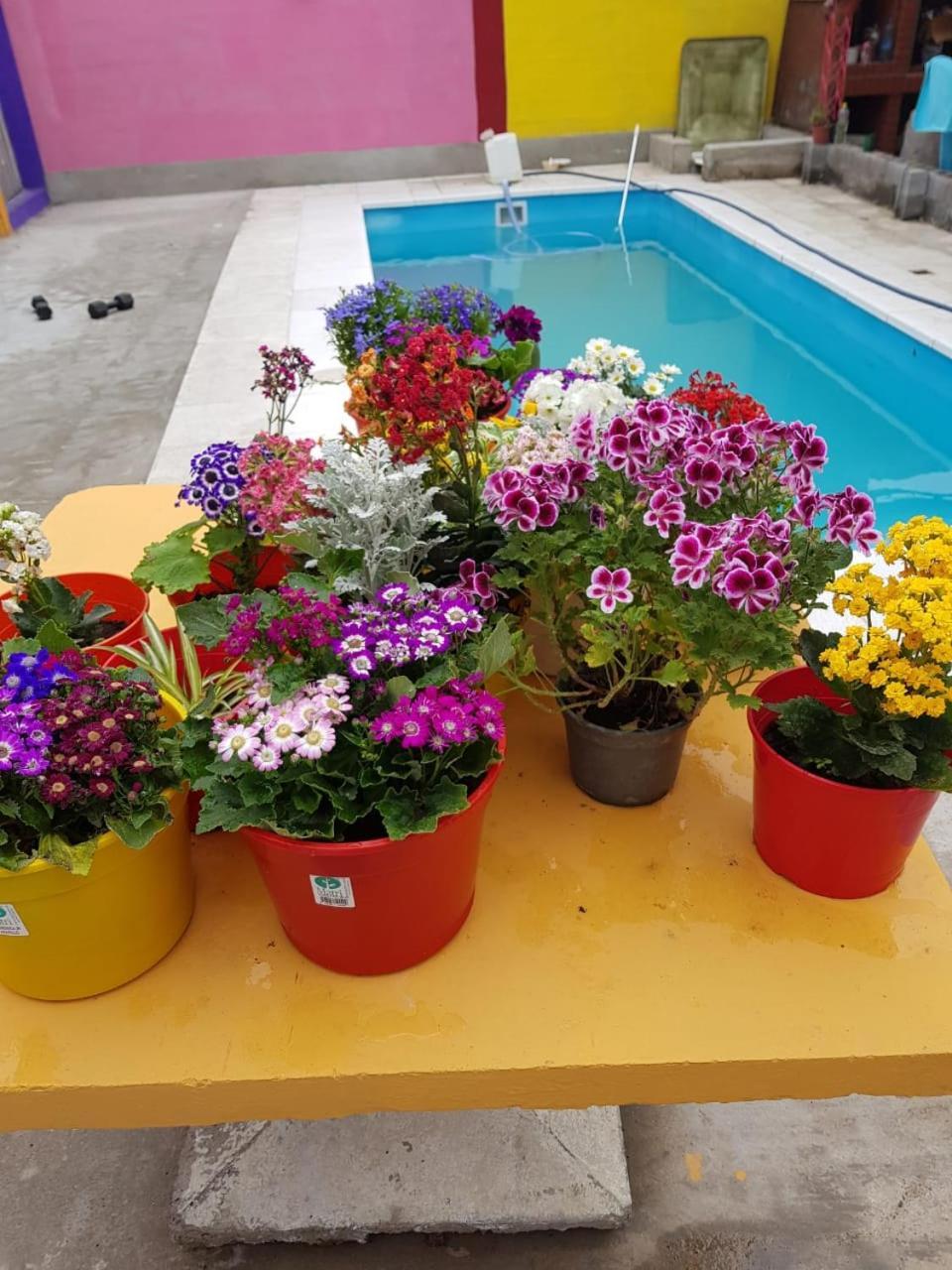 Apartamento 7 Arcangeles Termas de Río Hondo