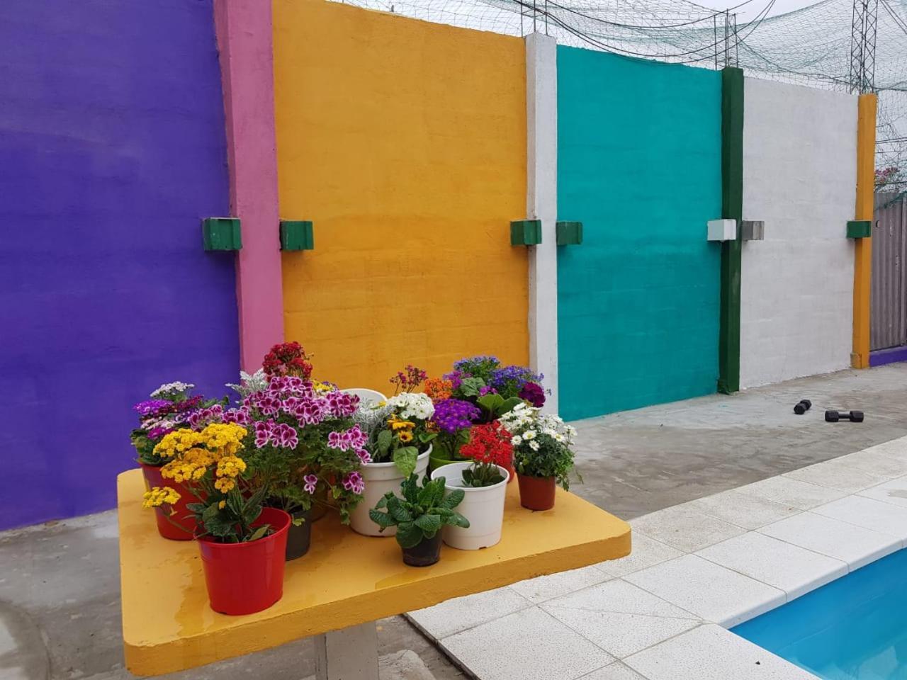 7 Arcangeles Apartment
